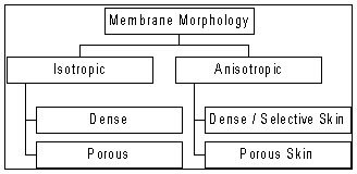 hmembranes1