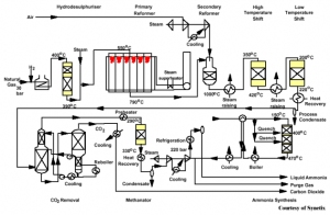 Overall Layout of a Steam Reforming Plant for Ammonia Synthesis