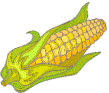 vol2iss2_ethanol.gif (7649 bytes)